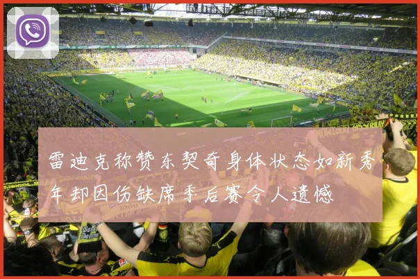 雷迪克称赞东契奇身体状态如新秀年却因伤缺席季后赛令人遗憾