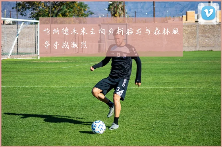 伦纳德未来去向分析猛龙与森林狼争夺战激烈