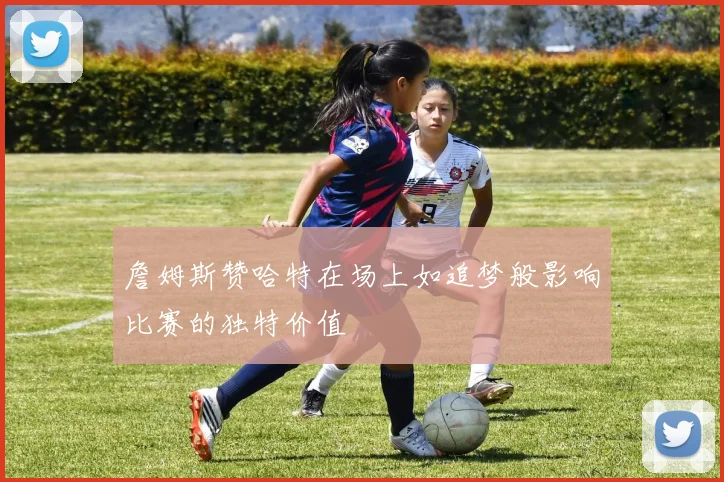詹姆斯赞哈特在场上如追梦般影响比赛的独特价值