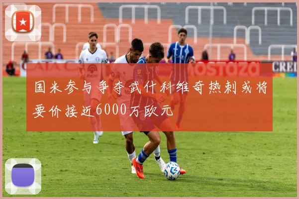 国米参与争夺武什科维奇热刺或将要价接近6000万欧元